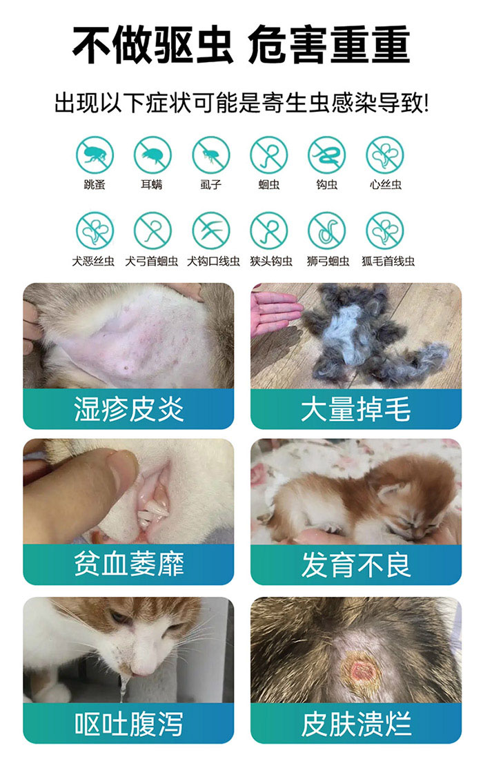 优思韦-驱虫药 优思韦-吡虫啉莫昔克丁滴剂