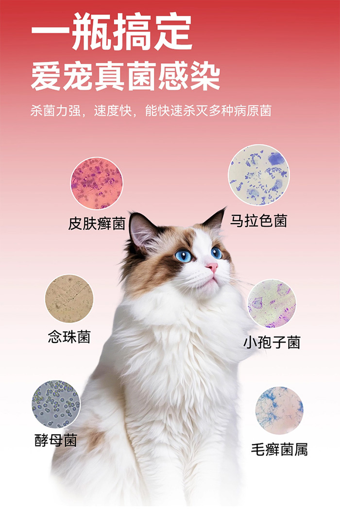 优思韦-宁伊曲康 优思韦-宁伊曲康唑内服溶液